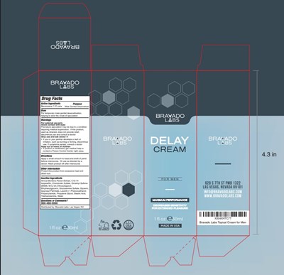 Bl Delay Box (Bl Delay Box)